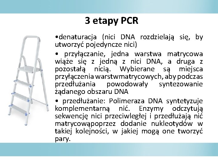3 etapy PCR • denaturacja (nici DNA rozdzielają się, by utworzyć pojedyncze nici) •