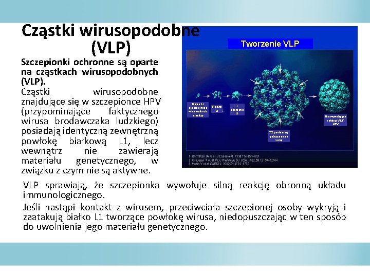 Cząstki wirusopodobne (VLP) Tworzenie VLP Szczepionki ochronne są oparte na cząstkach wirusopodobnych (VLP). Cząstki