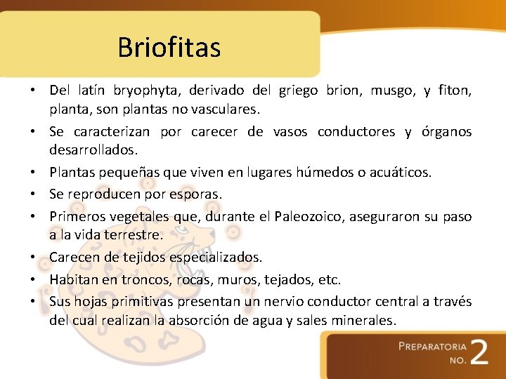 Briofitas • Del latín bryophyta, derivado del griego brion, musgo, y fiton, planta, son