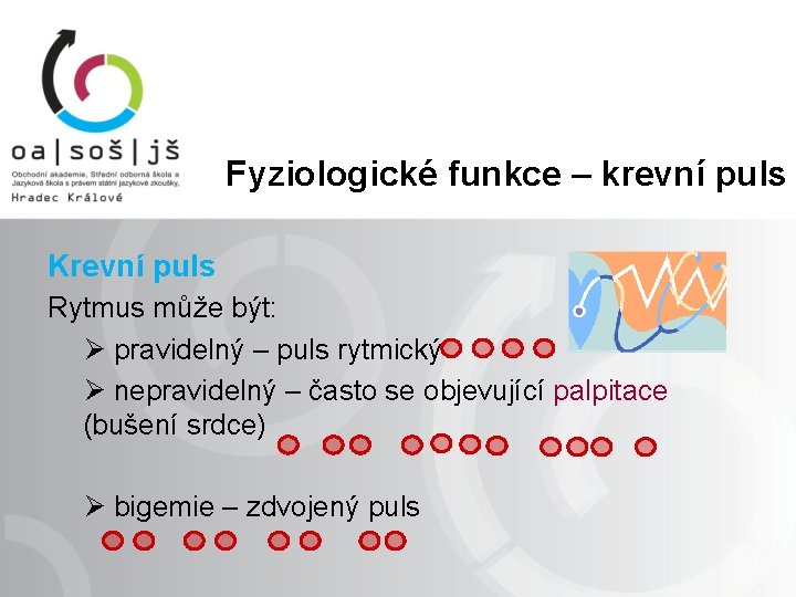 Fyziologické funkce – krevní puls Krevní puls Rytmus může být: Ø pravidelný – puls