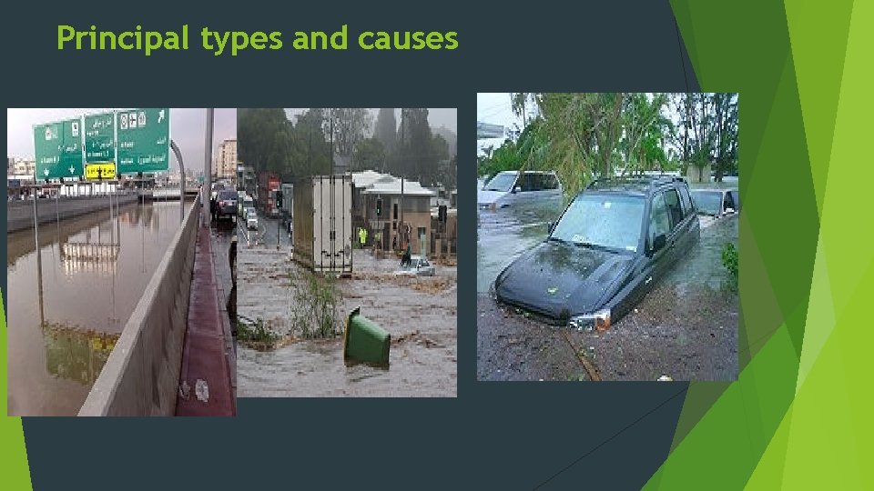 Principal types and causes 