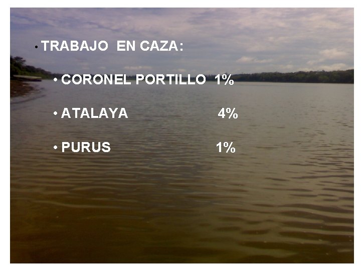  • TRABAJO EN CAZA: • CORONEL PORTILLO 1% • ATALAYA 4% • PURUS