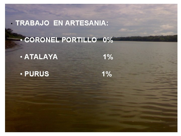  • TRABAJO EN ARTESANIA: • CORONEL PORTILLO 0% • ATALAYA 1% • PURUS