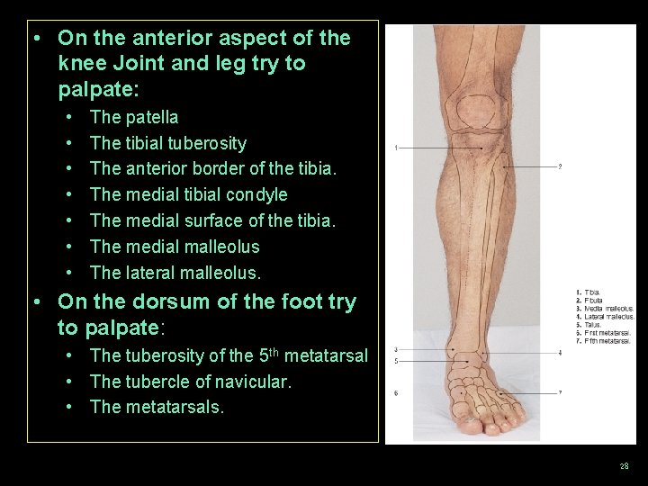  • On the anterior aspect of the knee Joint and leg try to