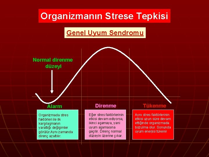 Organizmanın Strese Tepkisi Genel Uyum Sendromu Normal direnme düzeyi Alarm Organizmada stres faktörleri ile