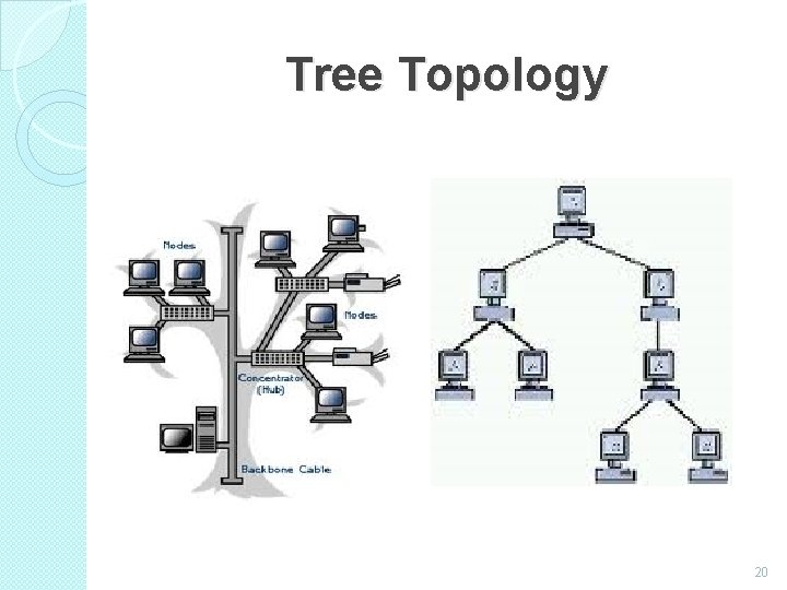 Tree Topology 20 
