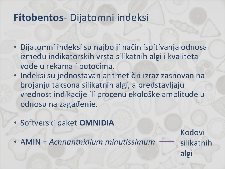 Fitobentos- Dijatomni indeksi • Dijatomni indeksi su najbolji način ispitivanja odnosa između indikatorskih vrsta