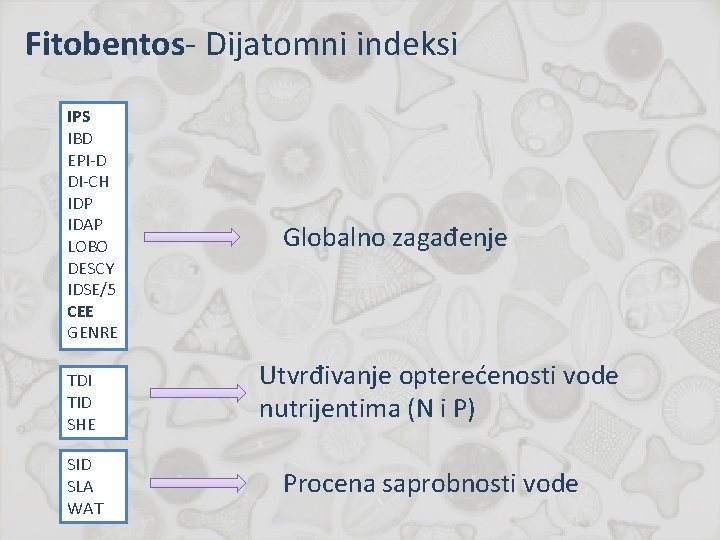 Fitobentos- Dijatomni indeksi IPS IBD EPI-D DI-CH IDP IDAP LOBO DESCY IDSE/5 CEE GENRE