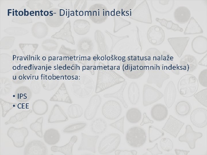 Fitobentos- Dijatomni indeksi Pravilnik o parametrima ekološkog statusa nalaže određivanje sledećih parametara (dijatomnih indeksa)