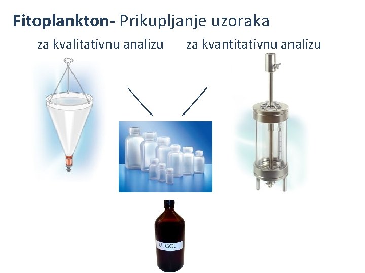 Fitoplankton- Prikupljanje uzoraka za kvalitativnu analizu za kvantitativnu analizu 