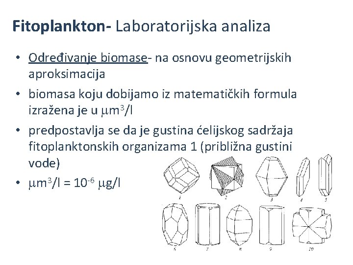 Fitoplankton- Laboratorijska analiza • Određivanje biomase- na osnovu geometrijskih aproksimacija • biomasa koju dobijamo