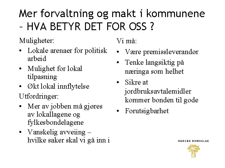 Mer forvaltning og makt i kommunene – HVA BETYR DET FOR OSS ? Muligheter: