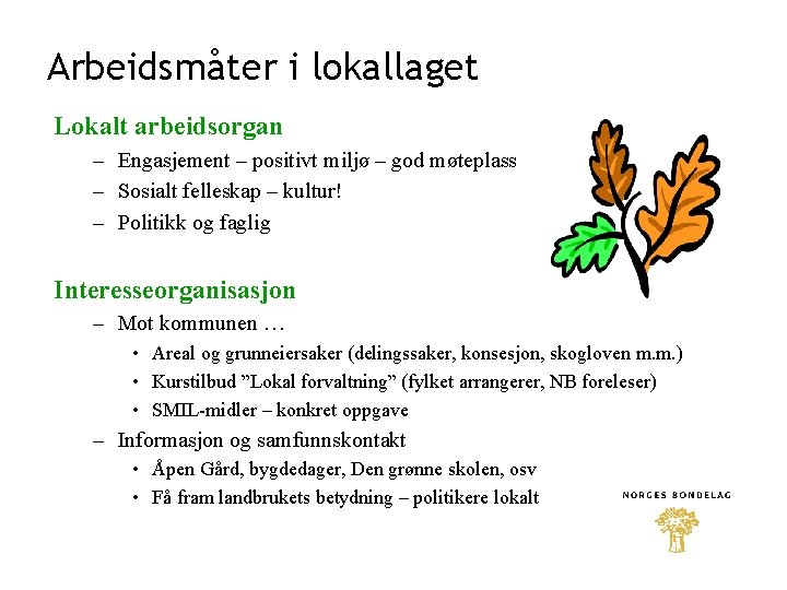 Arbeidsmåter i lokallaget Lokalt arbeidsorgan – Engasjement – positivt miljø – god møteplass –