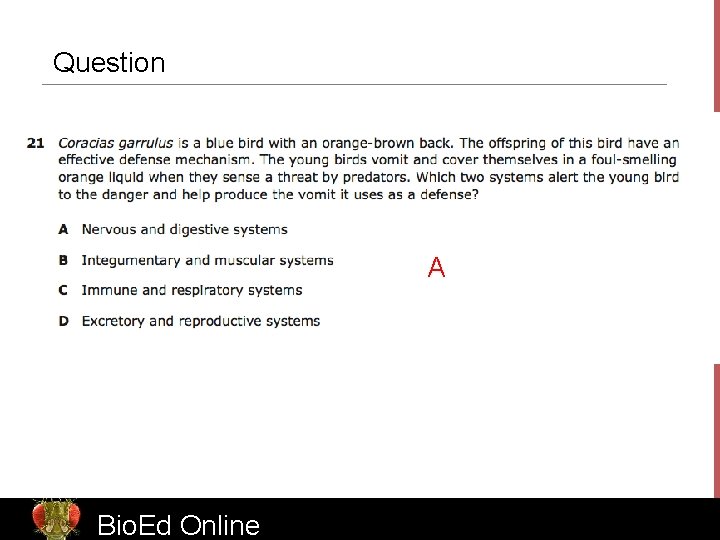 Question A Bio. Ed Online www. Bio. Ed. Online. org 