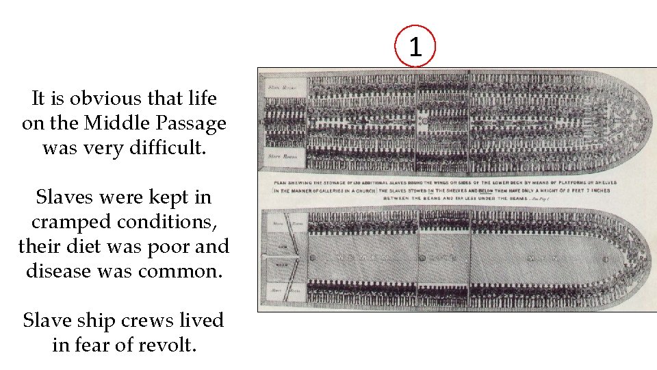 1 It is obvious that life on the Middle Passage was very difficult. Slaves