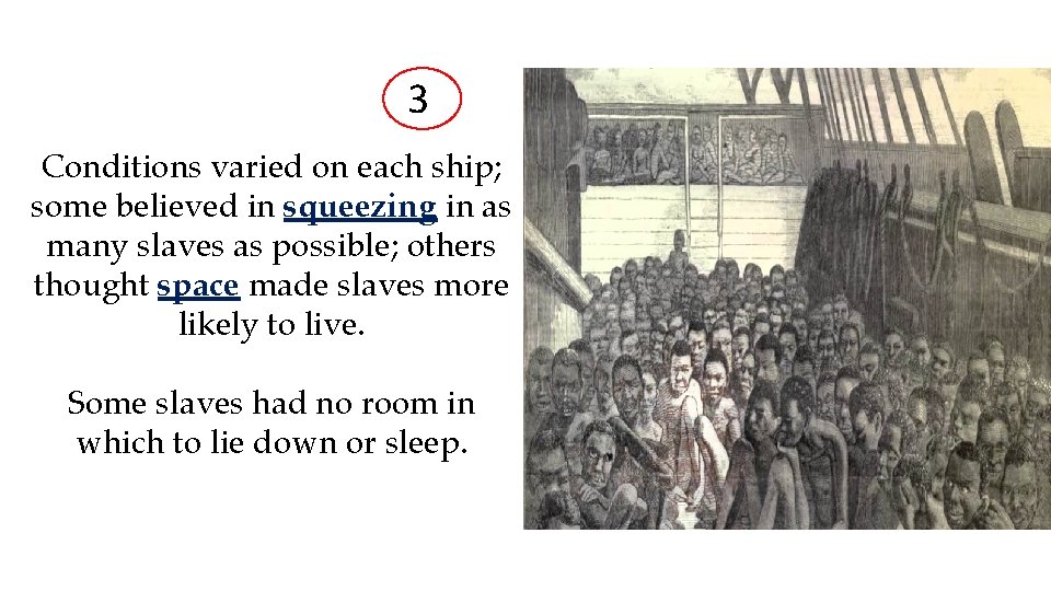 3 Conditions varied on each ship; some believed in squeezing in as many slaves