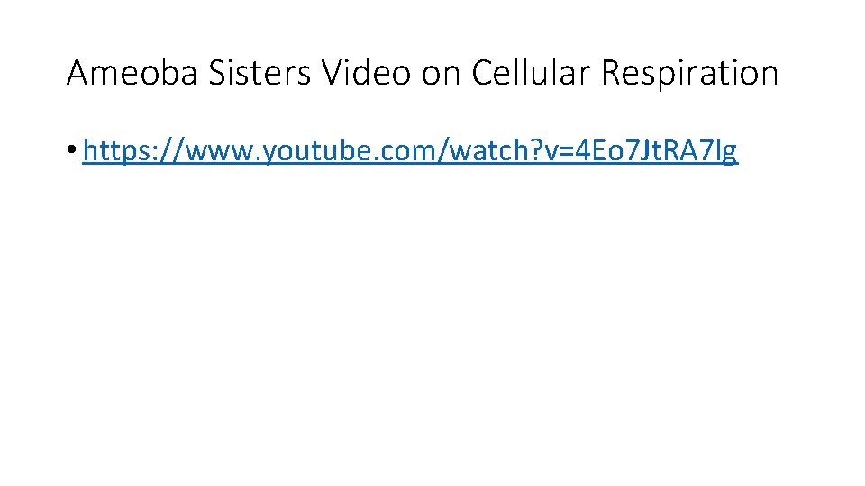 Ameoba Sisters Video on Cellular Respiration • https: //www. youtube. com/watch? v=4 Eo 7