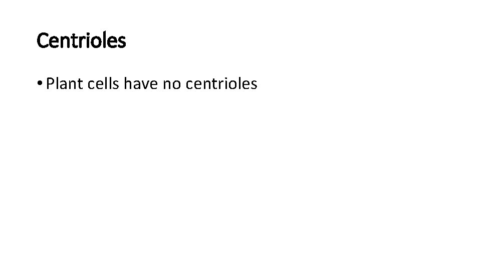 Centrioles • Plant cells have no centrioles 
