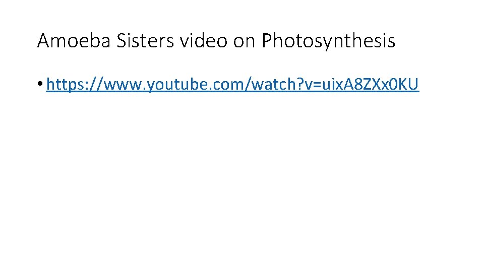 Amoeba Sisters video on Photosynthesis • https: //www. youtube. com/watch? v=uix. A 8 ZXx