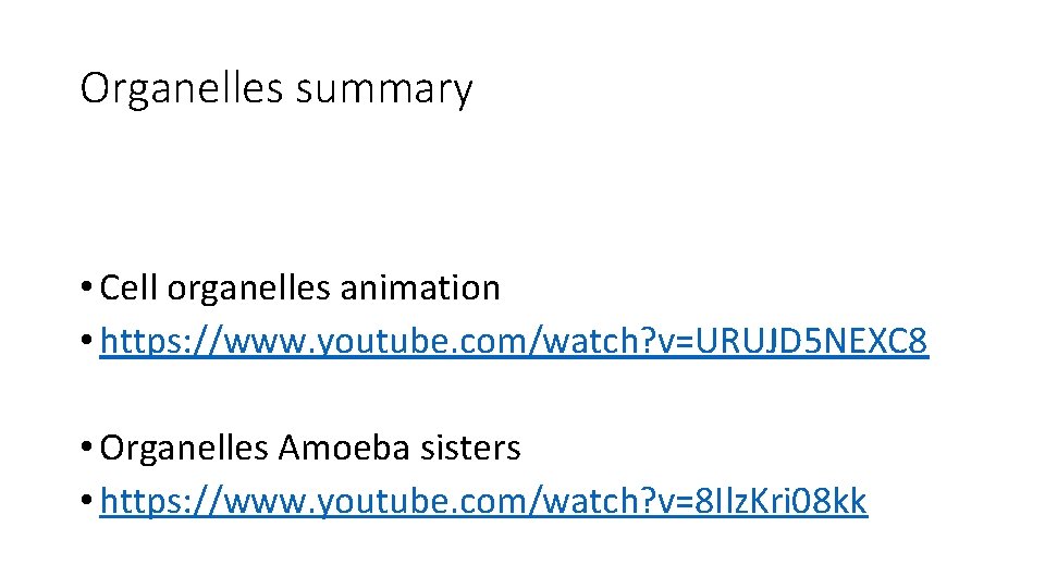 Organelles summary • Cell organelles animation • https: //www. youtube. com/watch? v=URUJD 5 NEXC