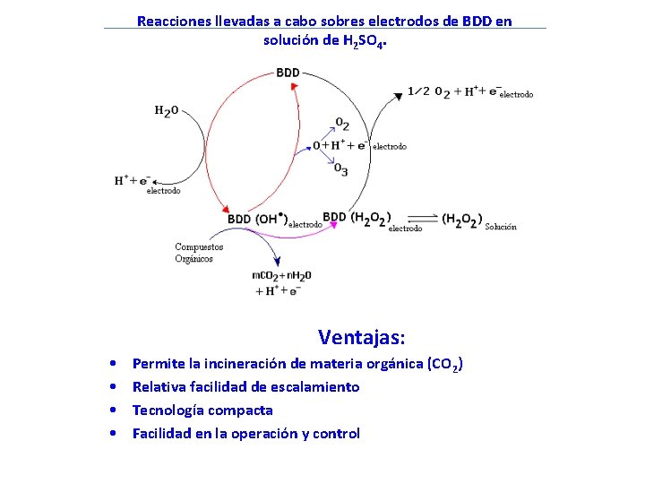 Reacciones llevadas a cabo sobres electrodos de BDD en solución de H 2 SO