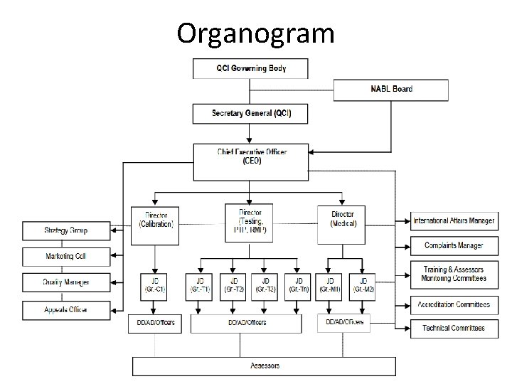 Organogram 