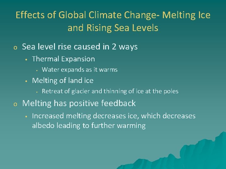 Effects of Global Climate Change- Melting Ice and Rising Sea Levels o Sea level