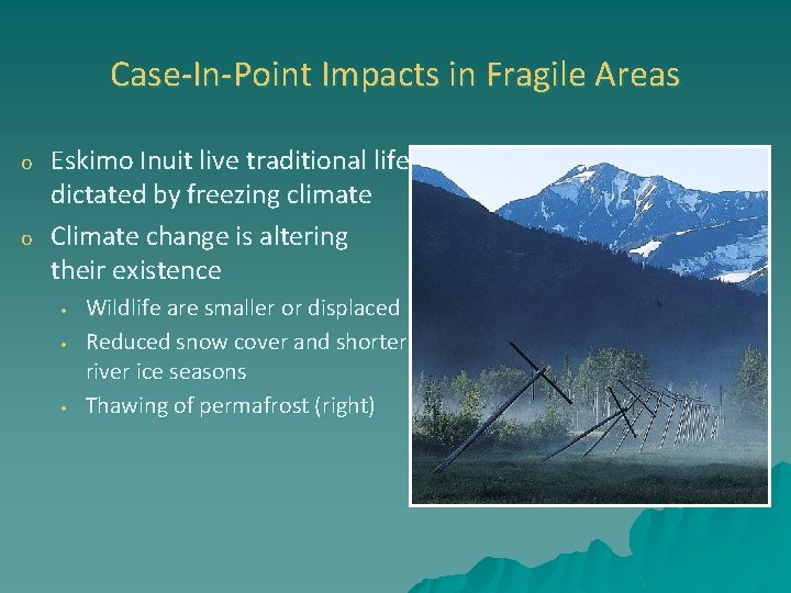 Case-In-Point Impacts in Fragile Areas o o Eskimo Inuit live traditional life dictated by