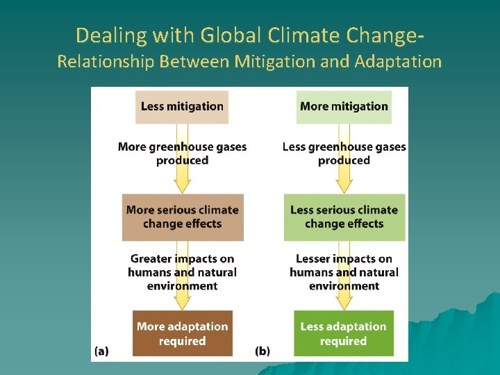 Dealing with Global Climate Change- Relationship Between Mitigation and Adaptation 
