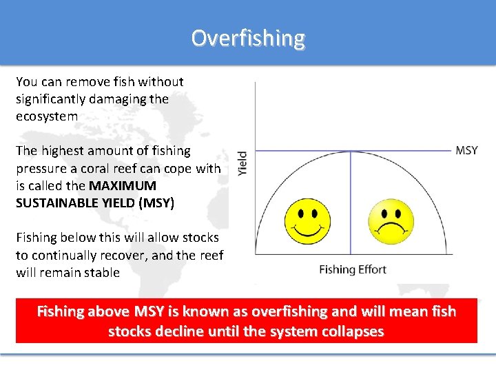 Overfishing You can remove fish without significantly damaging the ecosystem The highest amount of