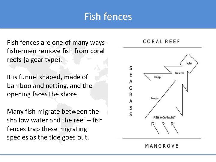 Fish fences are one of many ways fishermen remove fish from coral reefs (a