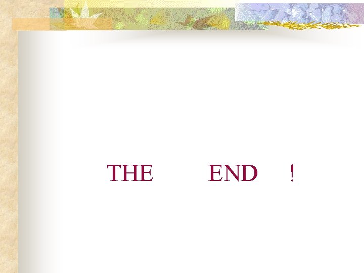 THE END ! 
