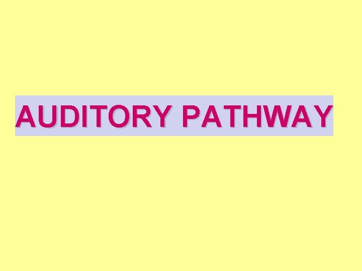 AUDITORY PATHWAY 