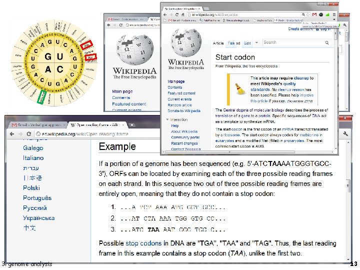 3. genome analysis 13 