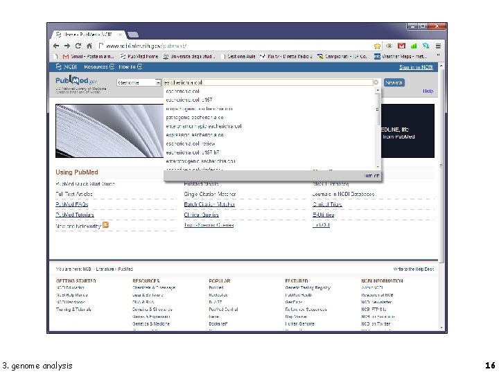 3. genome analysis 16 