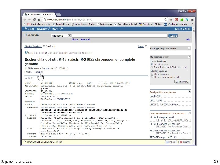 3. genome analysis 19 