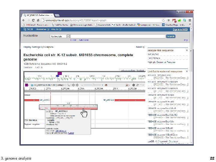 3. genome analysis 22 