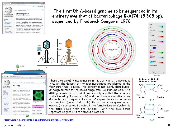  The first DNA-based genome to be sequenced in its entirety was that of
