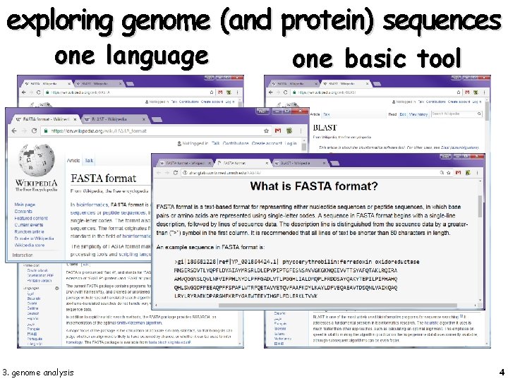 exploring genome (and protein) sequences one language 3. genome analysis one basic tool 4