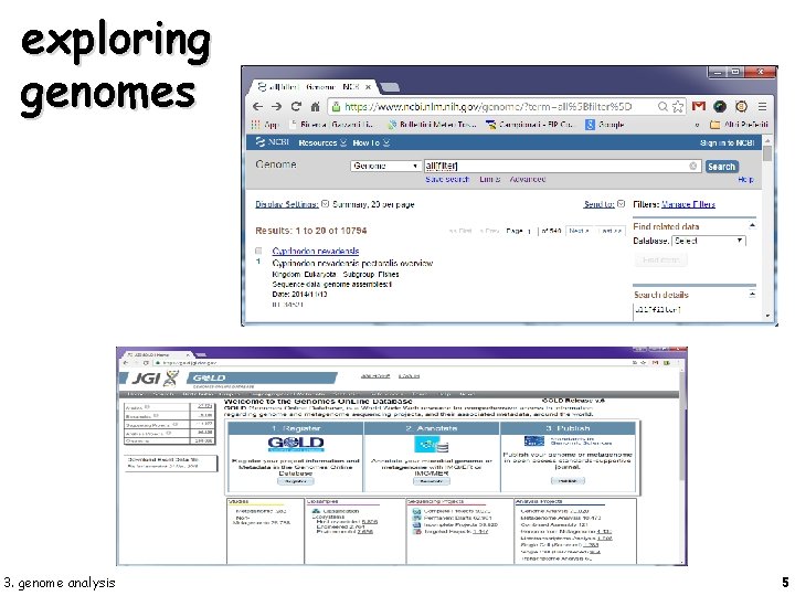 exploring genomes 3. genome analysis 5 