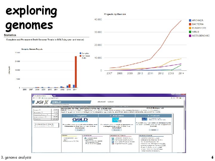 exploring genomes 3. genome analysis 6 