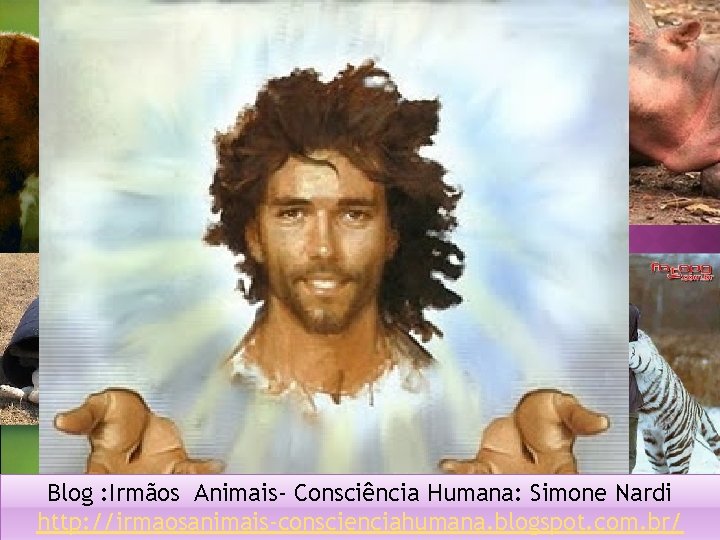 Blog : Irmãos Animais- Consciência Humana: Simone Nardi http: //irmaosanimais-conscienciahumana. blogspot. com. br/ 