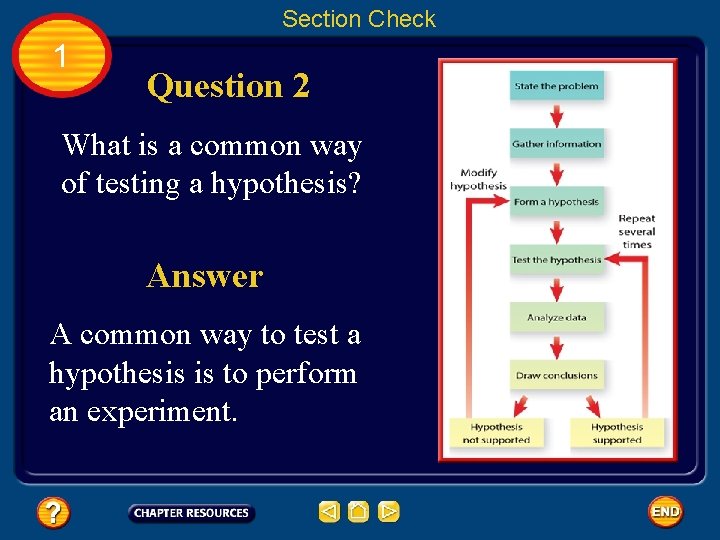 Section Check 1 Question 2 What is a common way of testing a hypothesis?