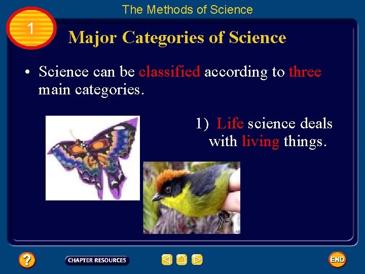 The Methods of Science 1 Major Categories of Science • Science can be classified