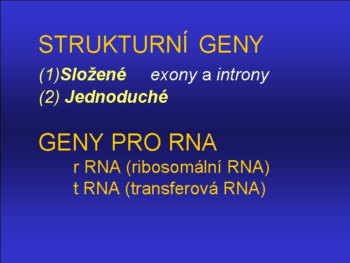 STRUKTURNÍ GENY (1)Složené exony a introny (2) Jednoduché GENY PRO RNA r RNA (ribosomální