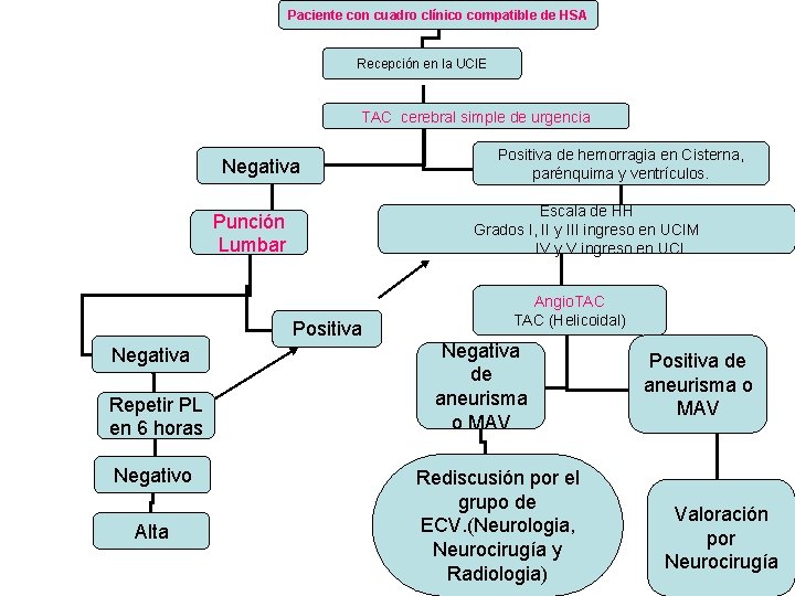 Paciente con cuadro clínico compatible de HSA Recepción en la UCIE TAC cerebral simple