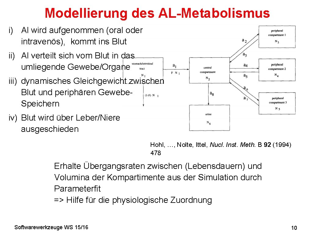 Modellierung des AL-Metabolismus i) Al wird aufgenommen (oral oder intravenös), kommt ins Blut ii)