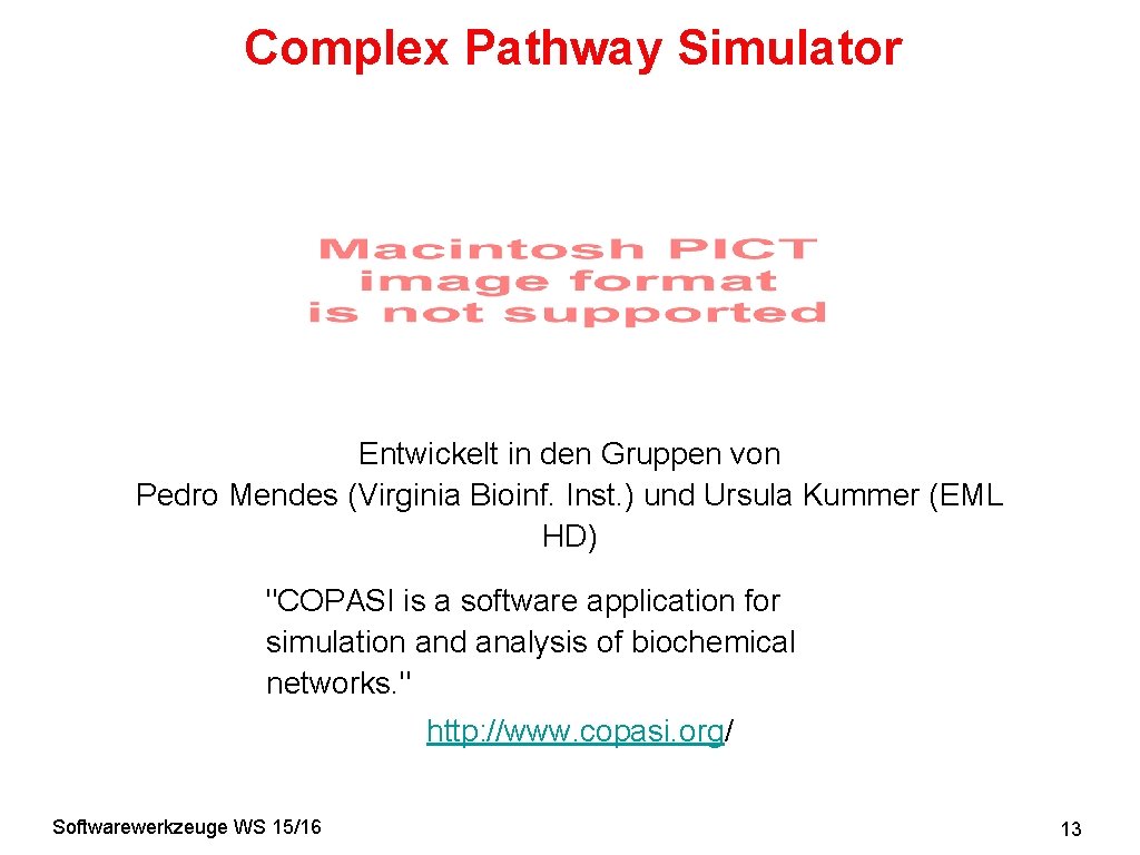 Complex Pathway Simulator Entwickelt in den Gruppen von Pedro Mendes (Virginia Bioinf. Inst. )