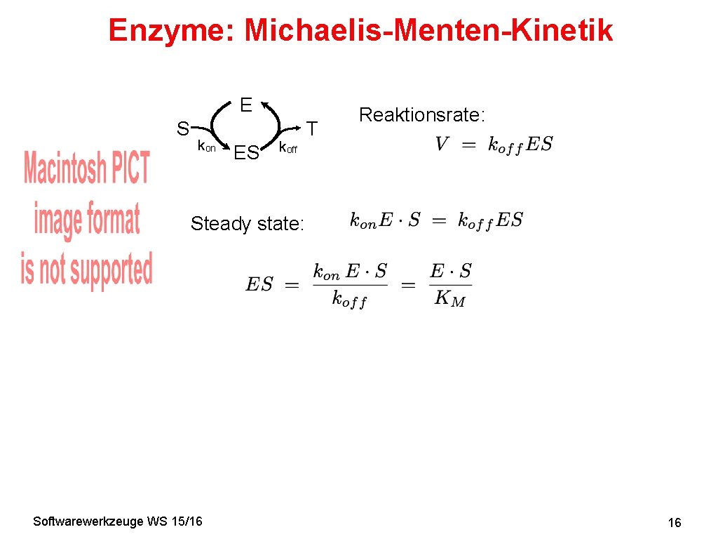 Enzyme: Michaelis-Menten-Kinetik E S kon ES koff T Reaktionsrate: Steady state: Softwarewerkzeuge WS 15/16