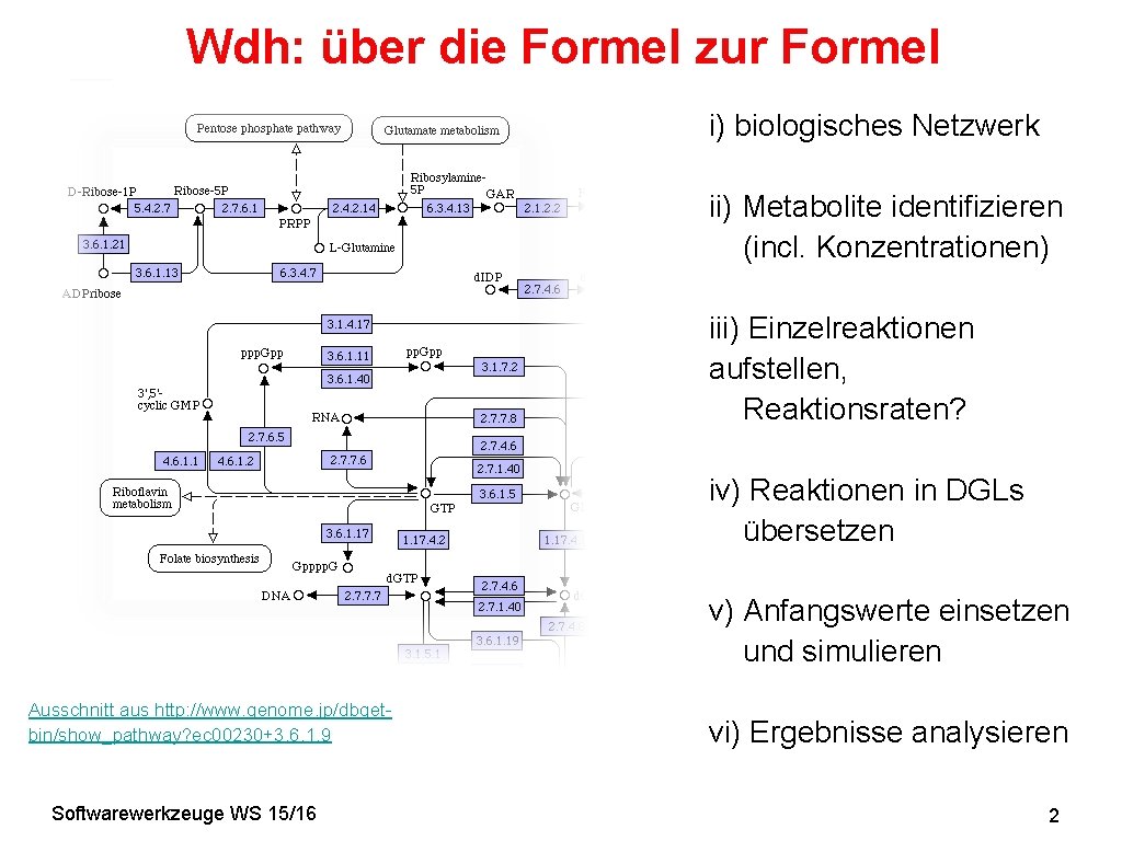 Wdh: über die Formel zur Formel i) biologisches Netzwerk ii) Metabolite identifizieren (incl. Konzentrationen)